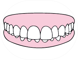 Dientes para adelante